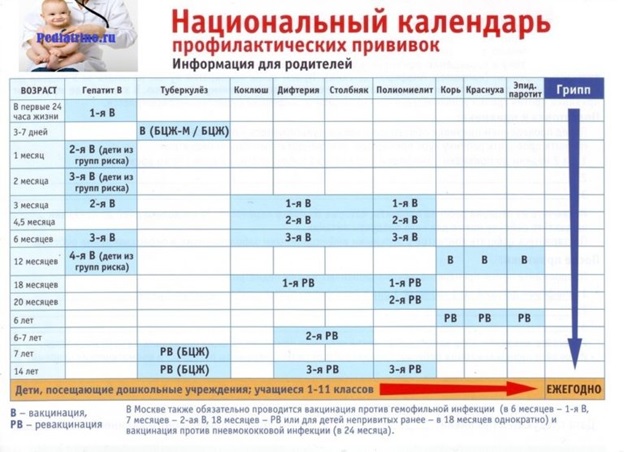 _календарь_профилактических_прививок.jpg